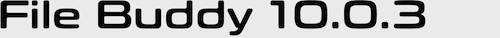 File Buddy 10