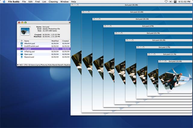 Viewer sizes