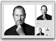 Icon Family Viewer