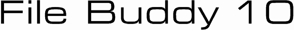 File Buddy 10