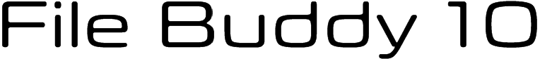 File Buddy 10